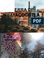 LA SIERRA DE HUAYACOCOTLA