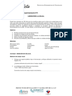 1experimento_3.pdf