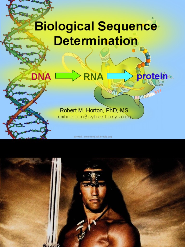 Biological Sequence Determination: Protein | PDF | Dna Sequencing | Rna