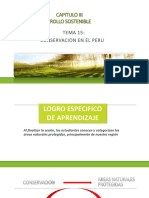 Conservacion en El Perú PDF