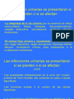 Las Infecciones Urinarias Se Presentarán Si Se Pierden Ó Si Se Afectan