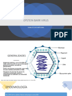 Epstein Barr Virus: Danielle Floyd Aristizábal