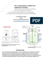 01 BQ IQUIM INTRODUCCION.pdf