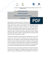 e-afaceri.pdf