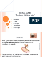 lyme.pdf