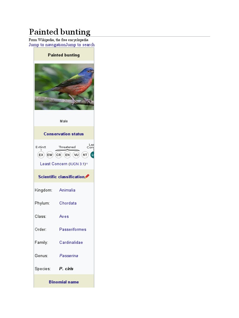 A Colorful Description of the Painted Bunting, Including Taxonomy