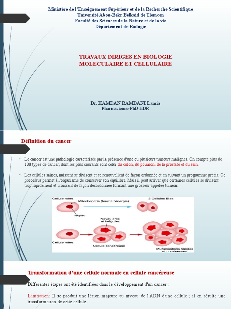 Étapes de la cancérogenèse et signalisation | PDF | Signalisation ...