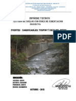 Informe Tecnico Puentes - Sacus