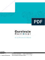 Curriculo_Nacional_2017_Word.docx