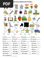 Regular and Irregular Plurals - 4059