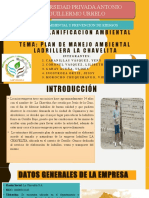 Diapositivas Plan de Manejo Ambiental Ladrillera-1