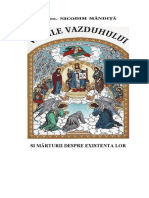 VAMILE_VAZDUHULUI_SI_MARTURII_DESPRE_EXI.pdf
