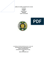 Laporan Pengambilan Sample Makrofauna (Budi Juliwa 180301046)