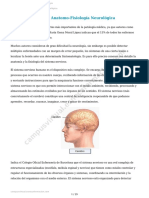 Anatomo-Fisiología Neurológica PDF