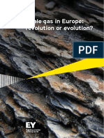 Shale Gas in Europe: Revolution or Evolution?