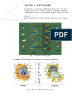 Dovezi Ale Evolutiei
