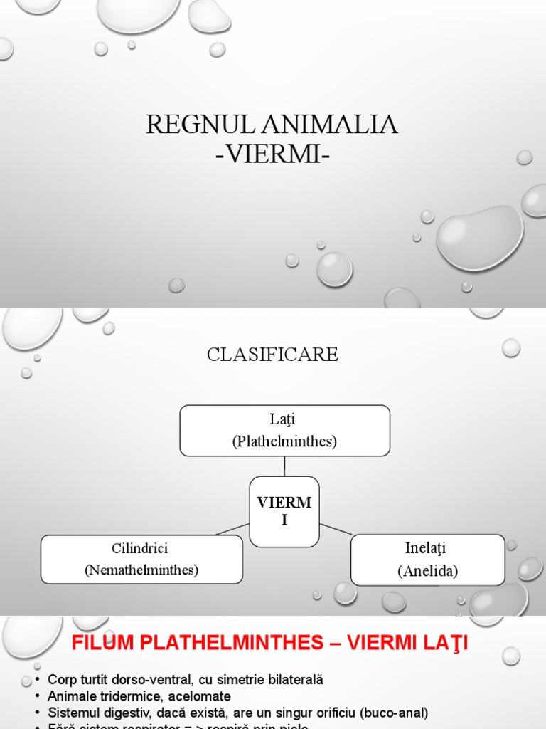 Viermii Lati | PDF