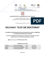 Petrea Stefan Mihai - Rezumat Teza de Doctorat PDF