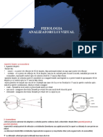 Fiziologia Analizatorului Vizual