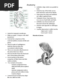 External Ear Anatomy
