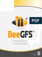 He Leading Parallel Luster File Sy Stem: WWW - Beegfs.io