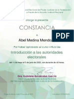 Introducción A Las Autoridades Electorales: Abel Medina Mendoza