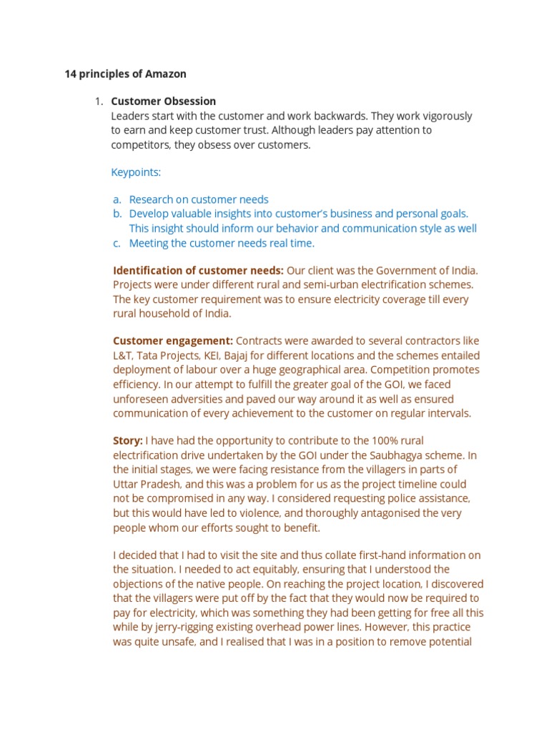 14 Principles of Amazon PDF Economies Business