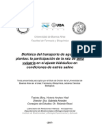 Biofísica Del Transporte de Agua en Plantas: La Participación de La Raíz de Beta Vulgaris en El Ajuste Hidráulico en Condiciones de Estrés Salino