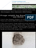 Are Frogs Intelligent