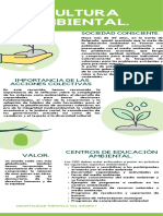 Cultura Ambiental.: Importancia de Las Acciones Colectivas