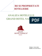 Analiza Hotel Napoca