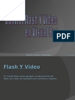 Presentacion de Flash y Video