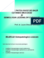 Curs 3 procese patologice + lez elem.pdf