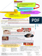 Infografía Ciclo de La Urea