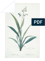 25 Free Botanical Prints PDF