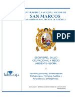 Seguridad, Salud Ocupacional y Medio Ambiente-Ssoma - 2 San Marcos