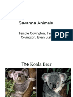 Savanna Animals: Temple Covington, Teddi Covington, Evan Lusk