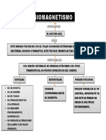 BIOMAGNETISMO