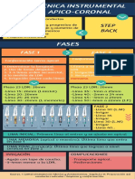 Técnica de Intrumentación Apico-Coronal