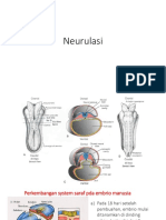 Neurulasi 2020-Dikonversi PDF