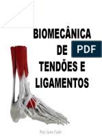 Aula 5 - Biomecânica de Tendões e Ligamentos2.pdf-1.pdf