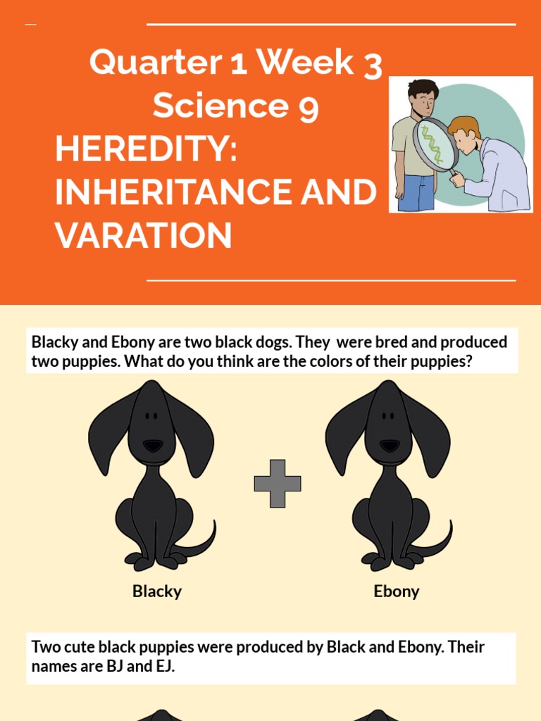 Non-Mendelian Inheritance Patterns | PDF | Dominance (Genetics) | Zygosity