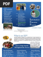 IEP Brochure