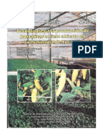 LIBRO TECNOLOGIA PARA HORTALIZAS YUCATAN.pdf