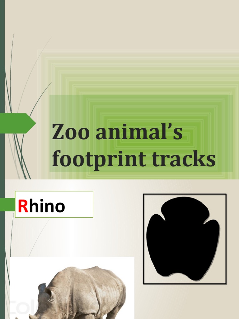Zoo Animal's Footprint Tracks PDF