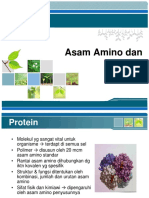 2. Protein + Asam Amino