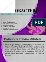 Proteobacteria: Agroindustrial Technology, Brawijaya University - 2017
