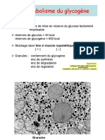 10 Glycogene