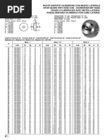 SATI Roti Dintate Cilindrice PDF