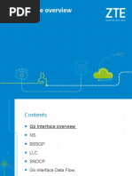 05 TN - SP003 - E1 - 1 GB Interface Overview-30